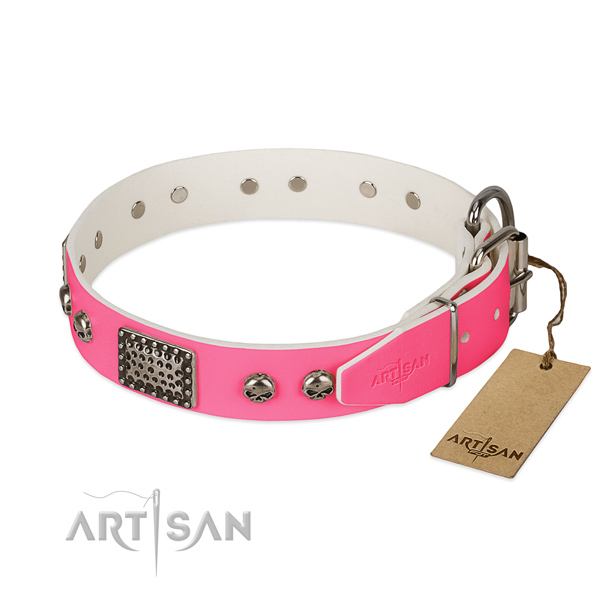 Rust resistant studs on walking dog collar