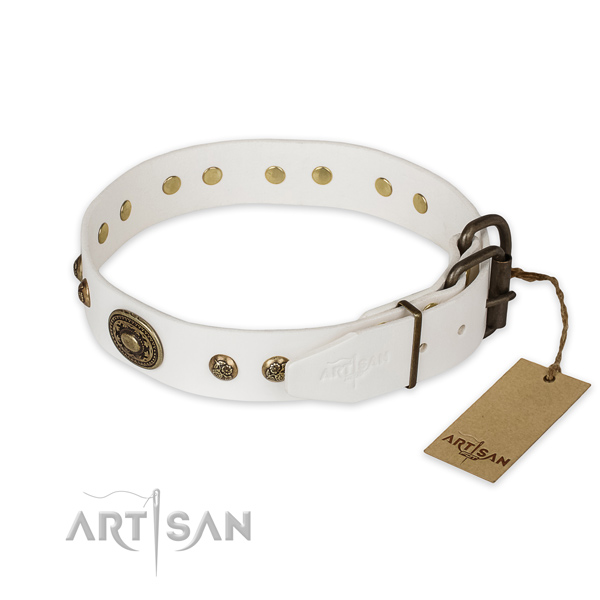 Durable traditional buckle on full grain genuine leather collar for basic training your pet