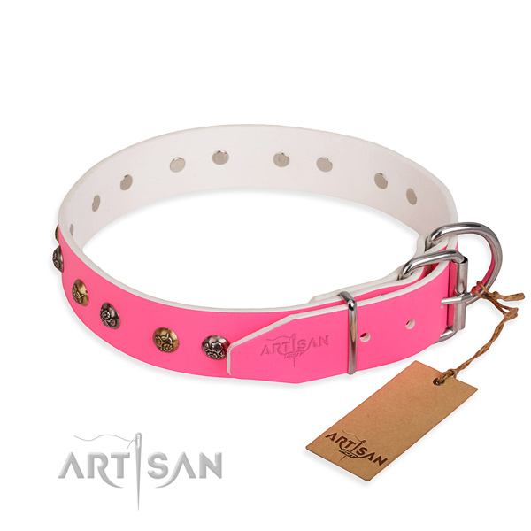 Full grain natural leather dog collar with extraordinary rust resistant studs