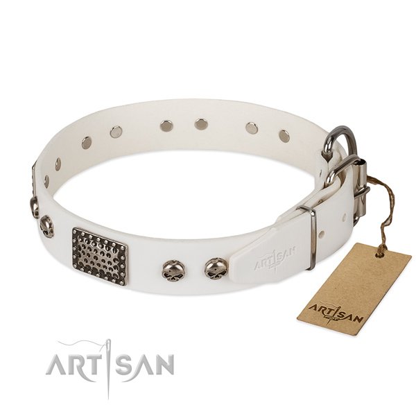 Rust-proof traditional buckle on handy use dog collar