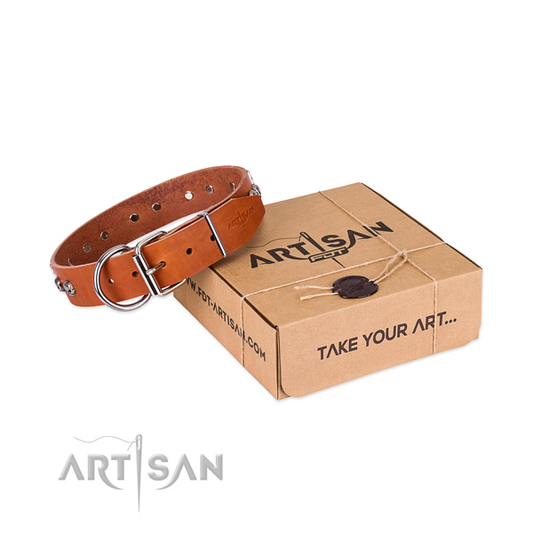 Corrosion resistant adornments on dog collar for daily walking