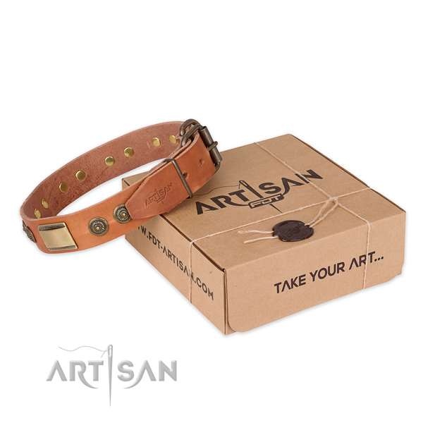 Rust-proof fittings on leather dog collar for walking