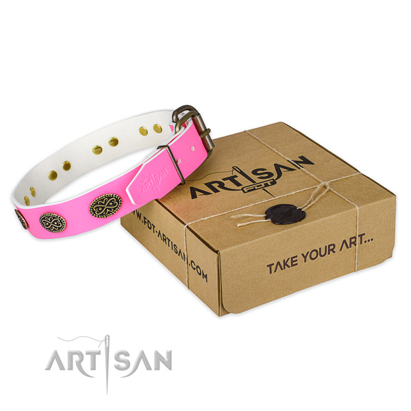Rust-proof adornments on dog collar for basic training