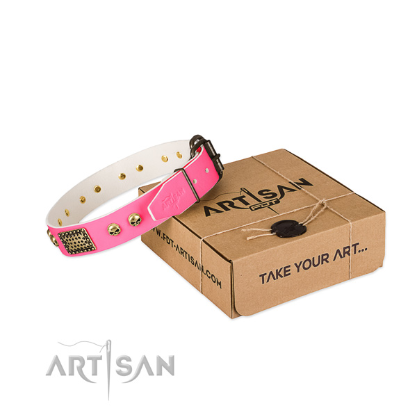 Rust-proof decorations on dog collar for basic training