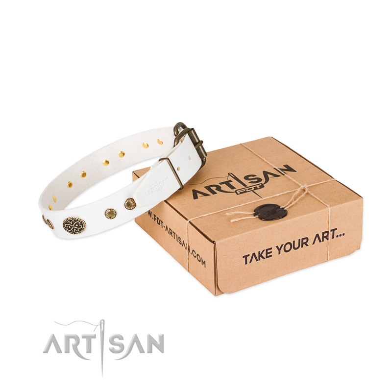 Durable studs on full grain leather dog collar for your dog