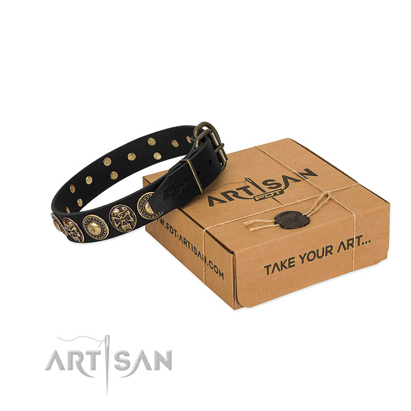 Durable D-ring on dog collar for stylish walking
