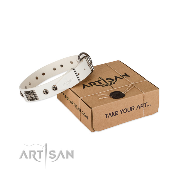 Reliable traditional buckle on dog collar for stylish walking