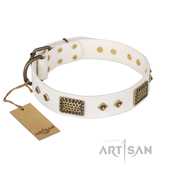 Studded genuine leather dog collar for everyday walking