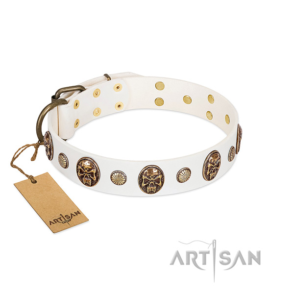 Designer full grain leather dog collar for basic training