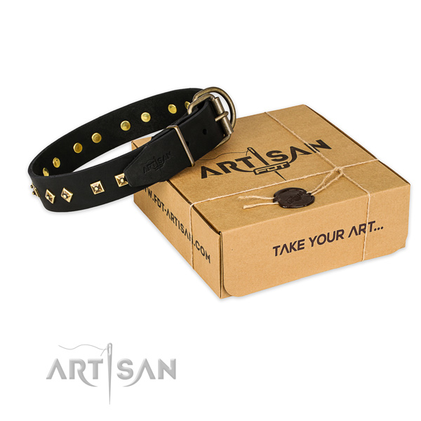 Rust resistant hardware on genuine leather dog collar for basic training