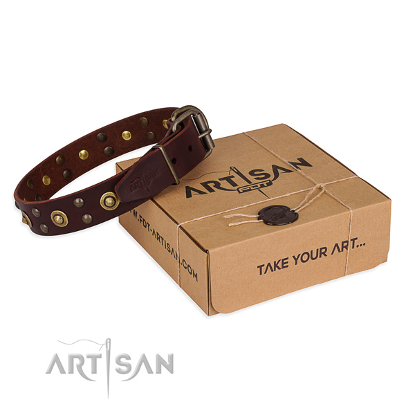 Strong D-ring on genuine leather collar for your handsome four-legged friend