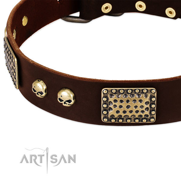 Reliable studs on genuine leather dog collar for your pet