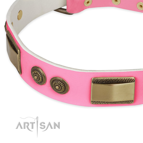 Full grain natural leather dog collar with embellishments for daily use