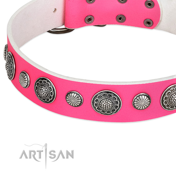Full grain genuine leather collar with durable hardware for your attractive canine