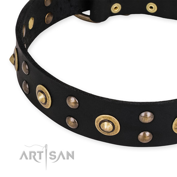 Full grain natural leather collar with rust resistant buckle for your attractive pet