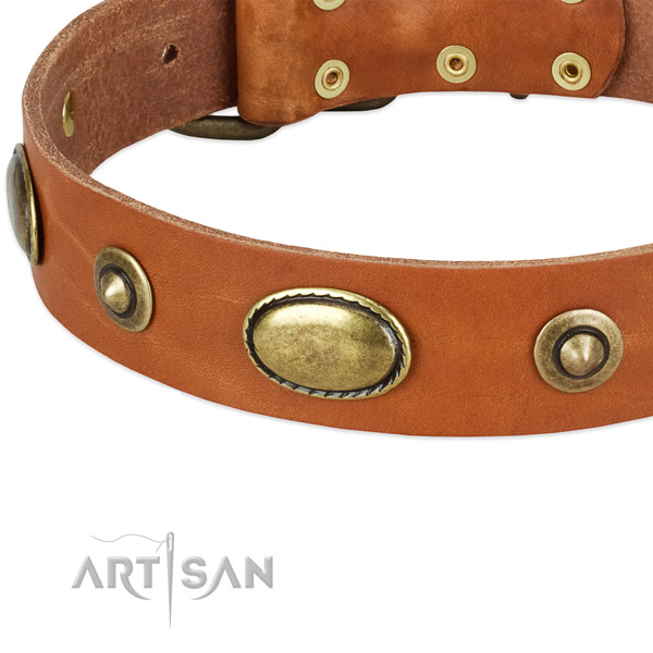 Corrosion resistant studs on full grain natural leather dog collar for your canine