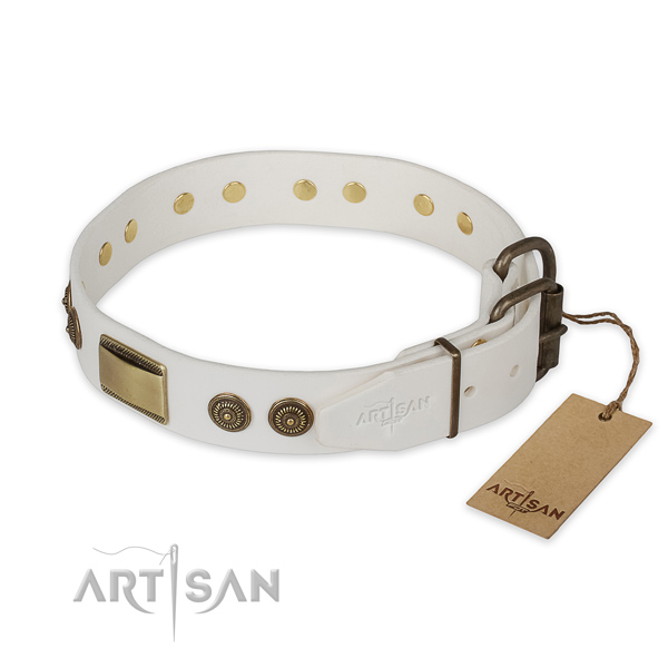 Strong buckle on genuine leather collar for stylish walking your four-legged friend