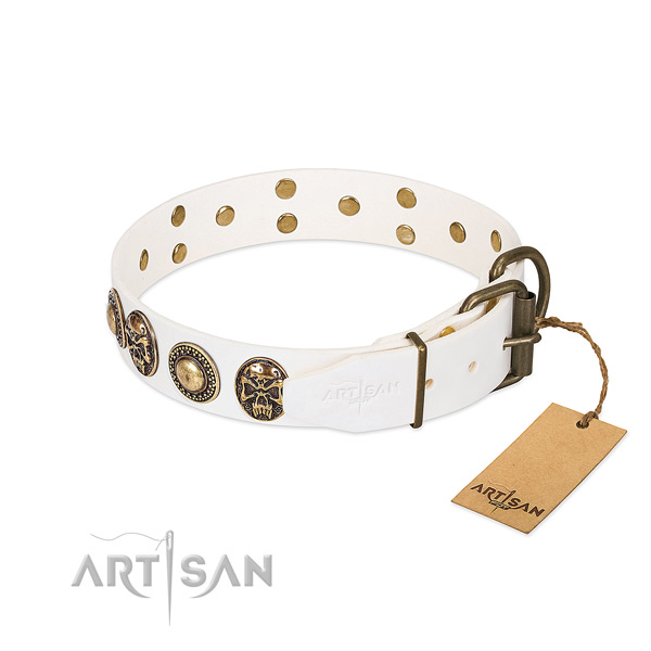 Reliable decorations on basic training dog collar