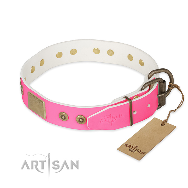 Strong traditional buckle on handy use dog collar