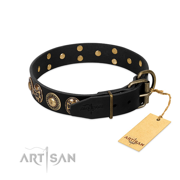 Rust-proof studs on daily use dog collar