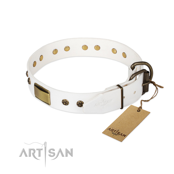 Full grain genuine leather dog collar with strong fittings and embellishments