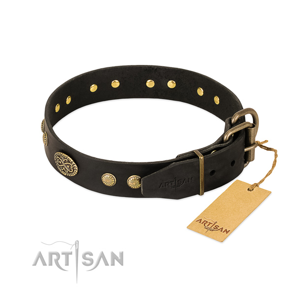 Rust resistant studs on genuine leather dog collar for your doggie