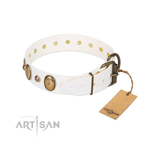 Stylish walking genuine leather dog collar