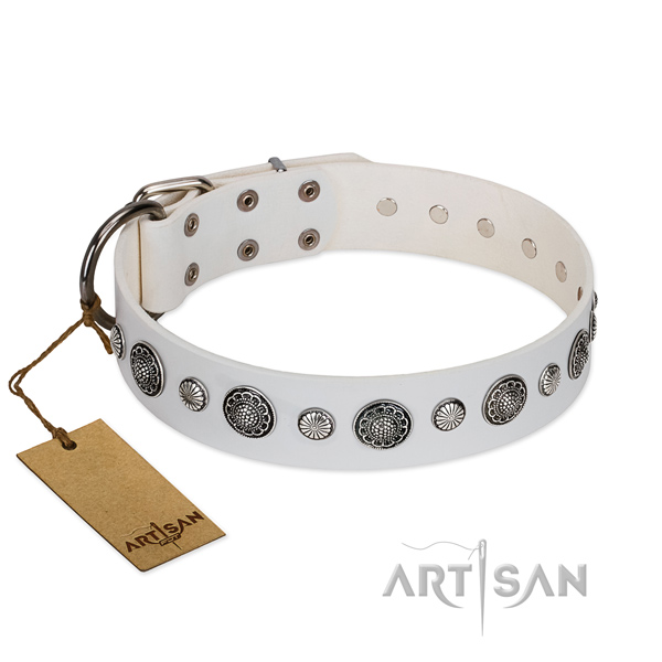 Best quality full grain leather dog collar with corrosion proof buckle