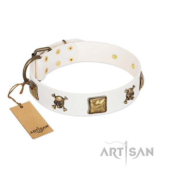 Extraordinary genuine leather dog collar with durable studs