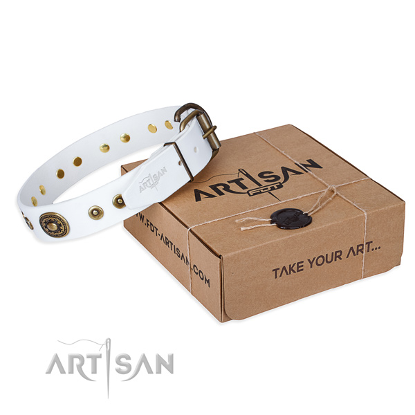 Full grain leather dog collar made of quality material with corrosion resistant D-ring