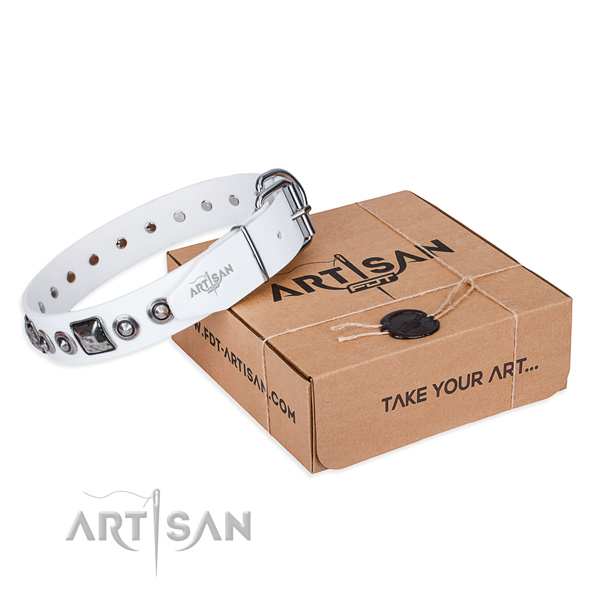 Top notch natural genuine leather dog collar made for walking