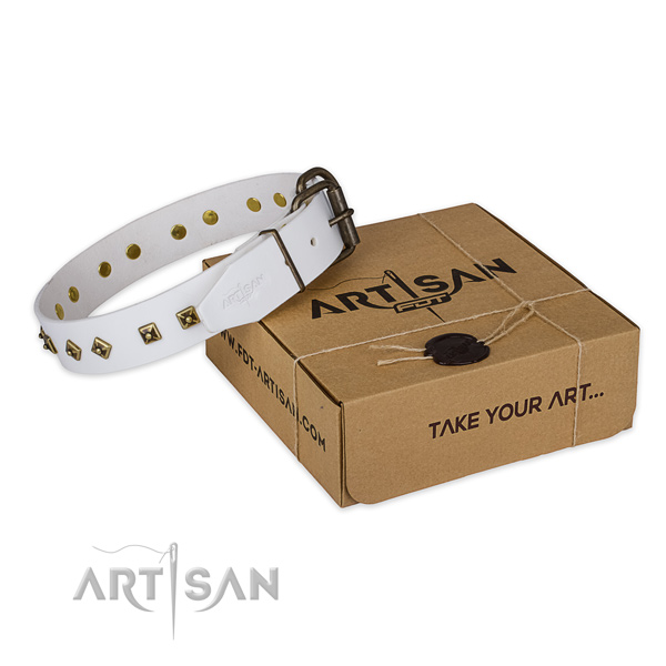 Durable traditional buckle on genuine leather dog collar for daily use