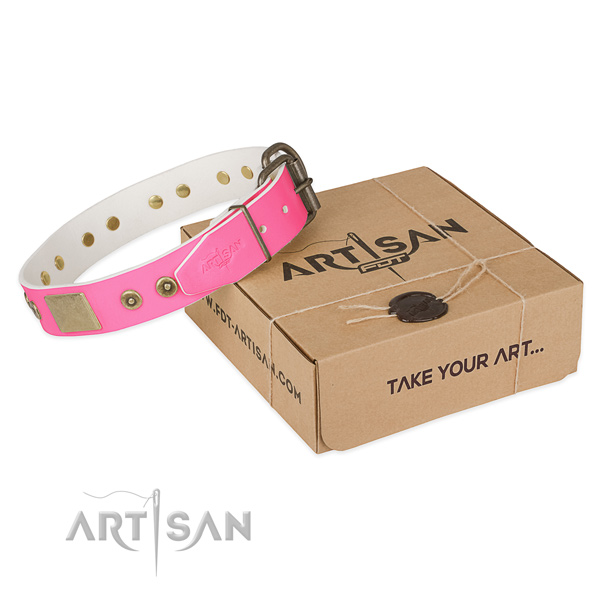 Corrosion proof hardware on dog collar for handy use