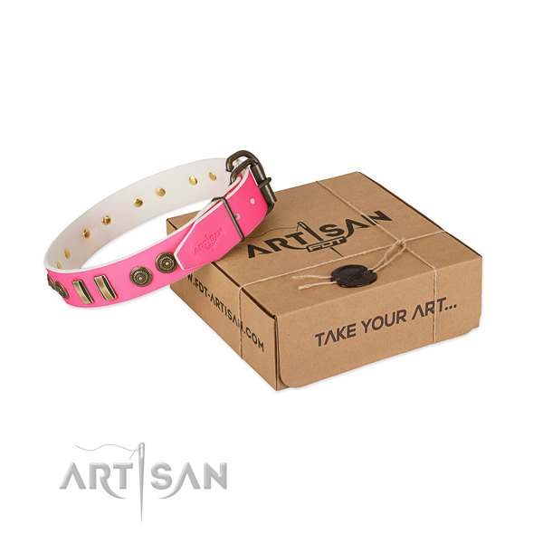 Rust-proof studs on leather dog collar for your doggie