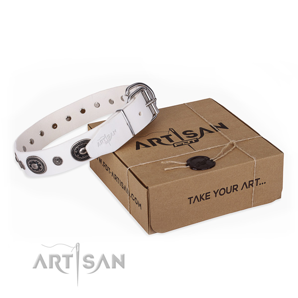 High quality leather dog collar handcrafted for comfortable wearing
