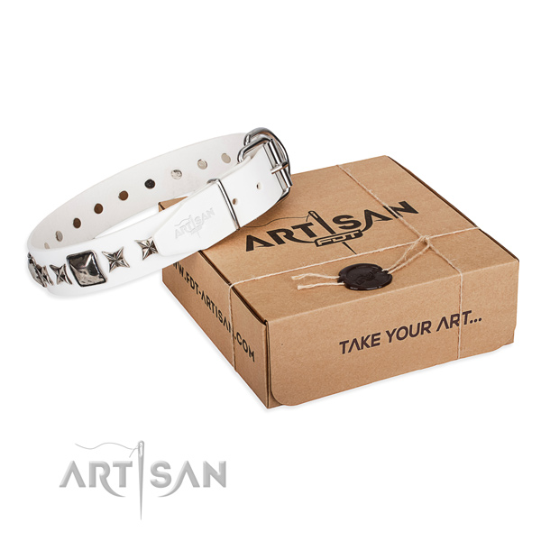 Stylish walking genuine leather dog collar with embellishments