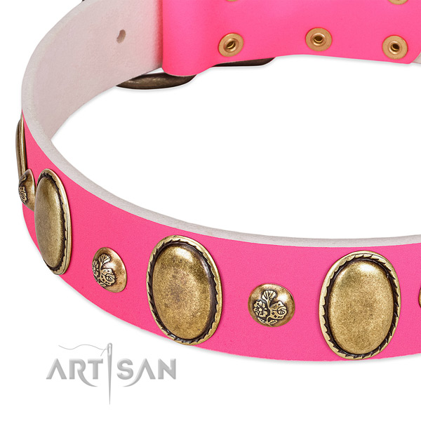 Walking top rate full grain natural leather dog collar