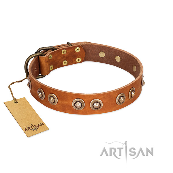 Rust resistant hardware on full grain genuine leather dog collar for your four-legged friend