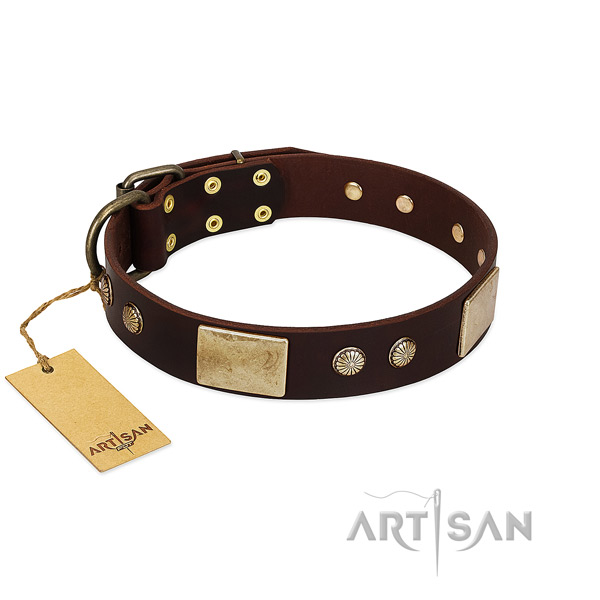 Easy adjustable leather dog collar for stylish walking your pet