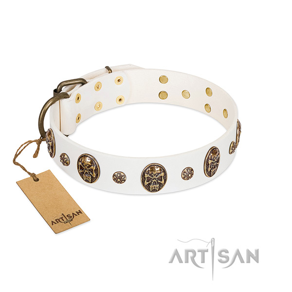 Stylish full grain natural leather collar for your canine