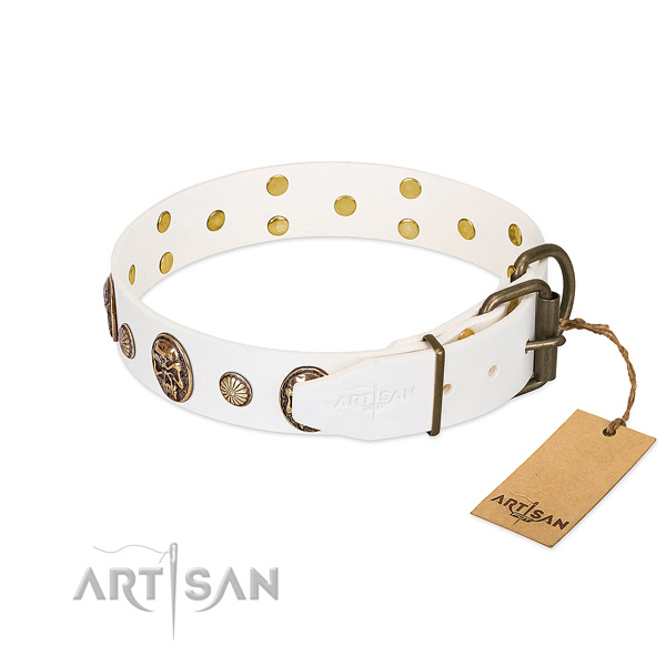 Durable buckle on full grain natural leather collar for stylish walking your doggie