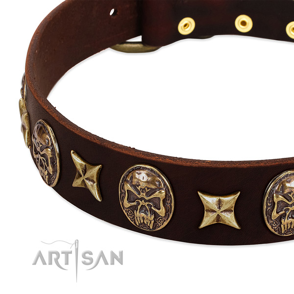 Rust-proof buckle on genuine leather dog collar for your pet