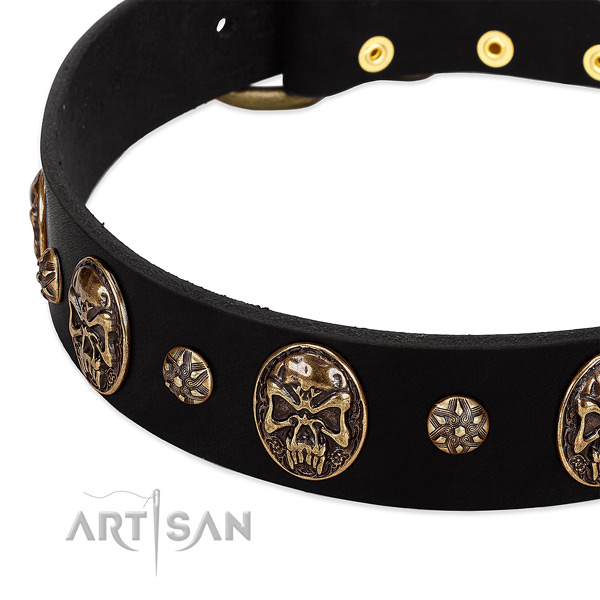 Rust resistant studs on full grain leather dog collar for your dog