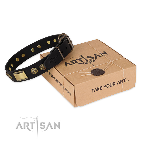 Durable buckle on genuine leather dog collar for everyday walking