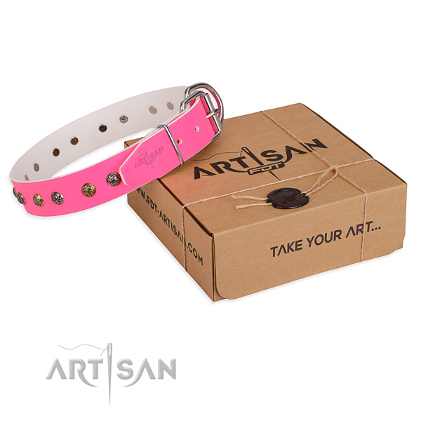 Fancy walking dog collar with Trendy rust resistant embellishments