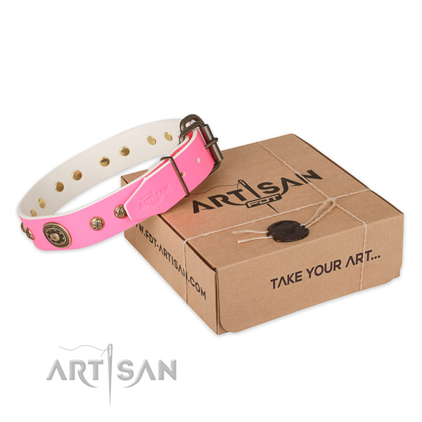 Strong fittings on genuine leather dog collar for basic training