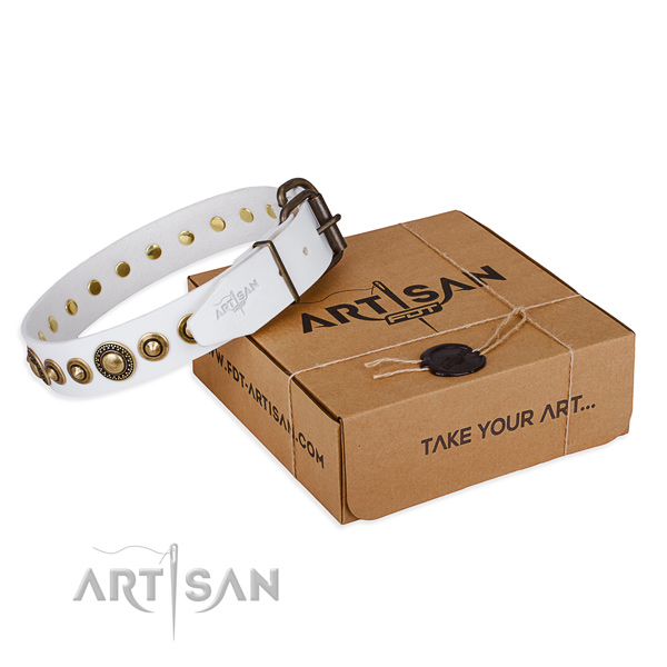 Gentle to touch full grain natural leather dog collar created for handy use