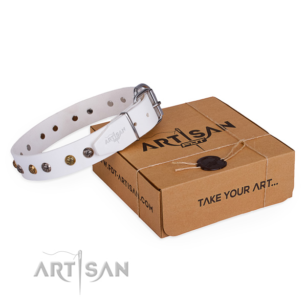 Easy wearing dog collar with Extraordinary durable decorations