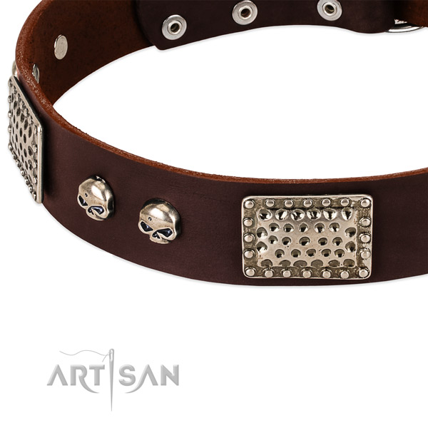 Rust-proof traditional buckle on full grain genuine leather dog collar for your four-legged friend