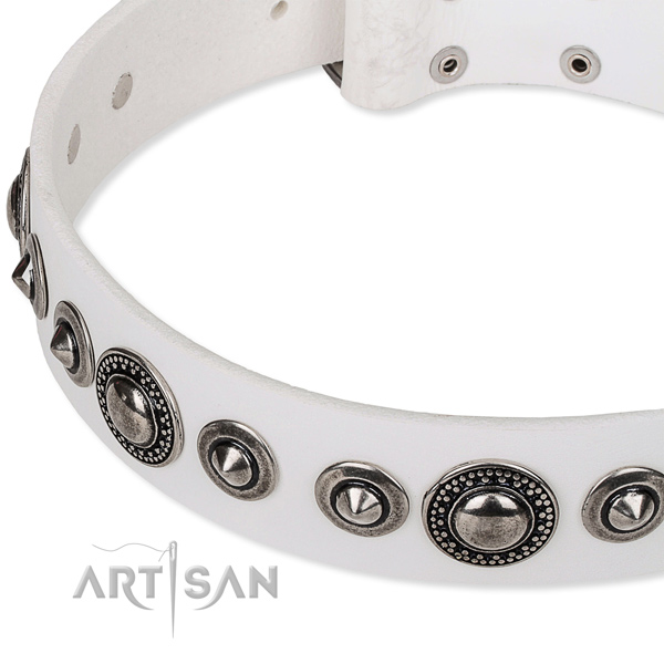 Daily walking decorated dog collar of top notch full grain genuine leather